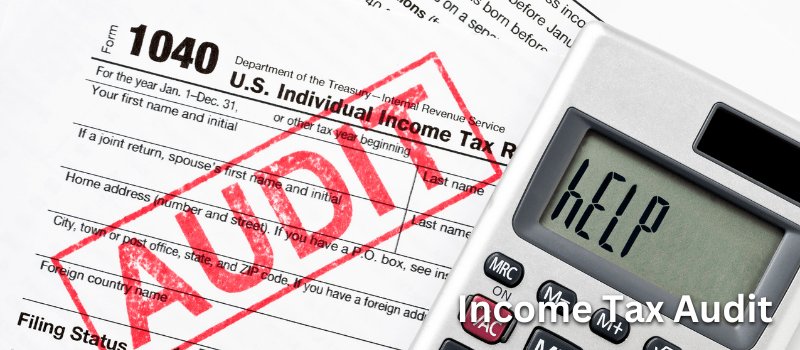Income Tax Audit (TAX AUDIT)